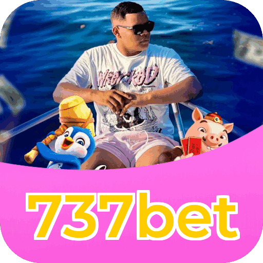 Resumo visual de bônus e campanhas 737bet